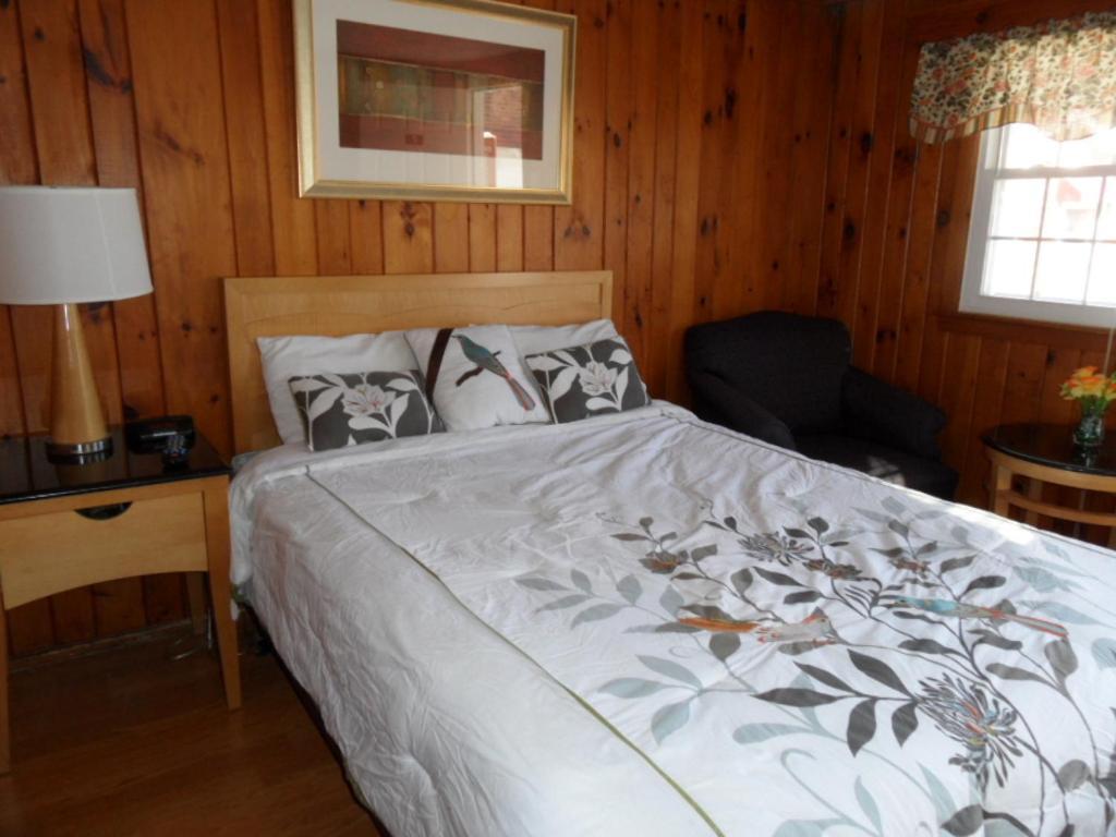 Seven Dwarfs Motel & Cabins Lake George Rum bild
