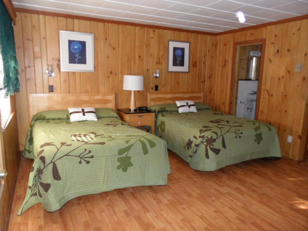 Seven Dwarfs Motel & Cabins Lake George Rum bild